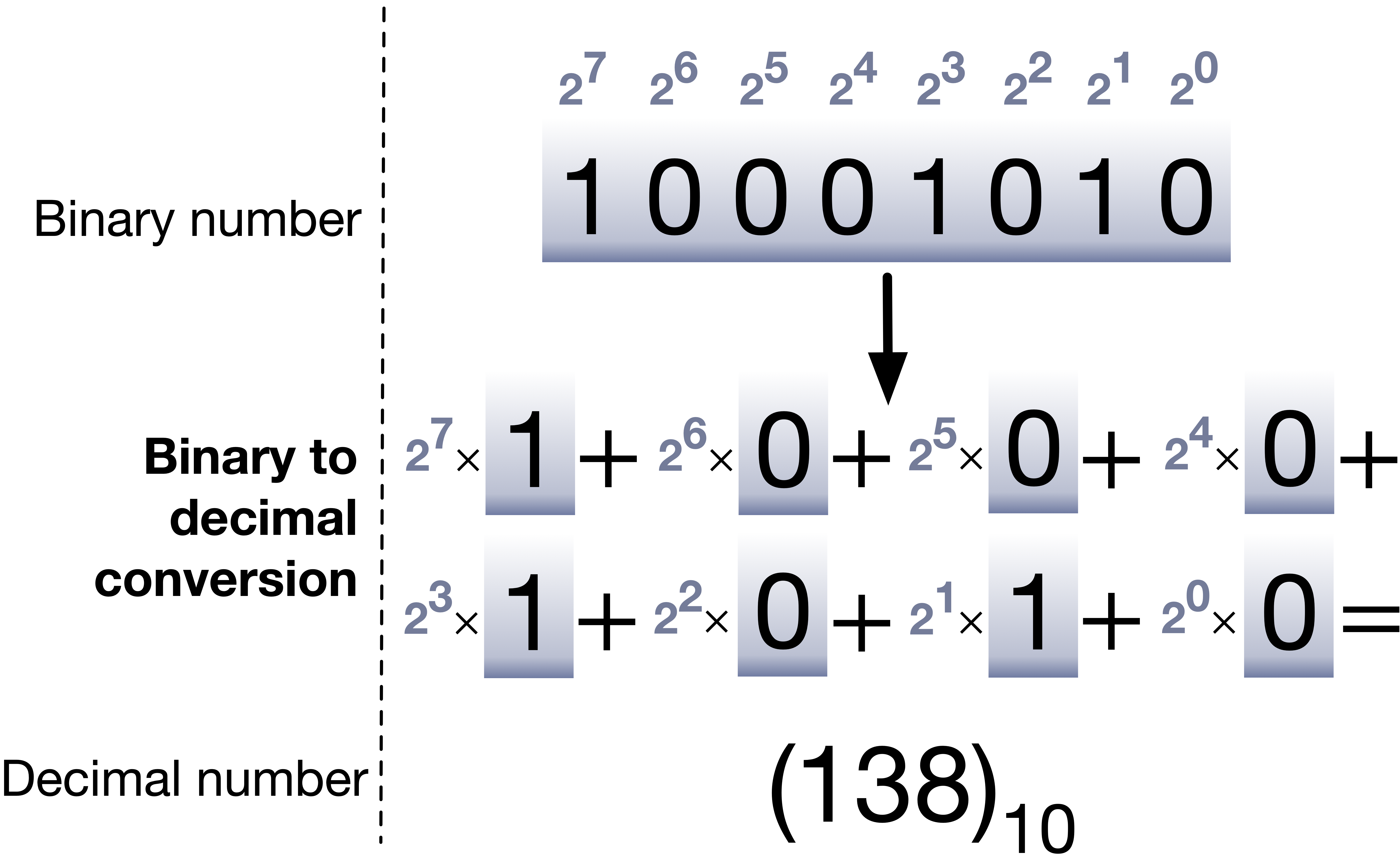 Binary to decimal conversion example