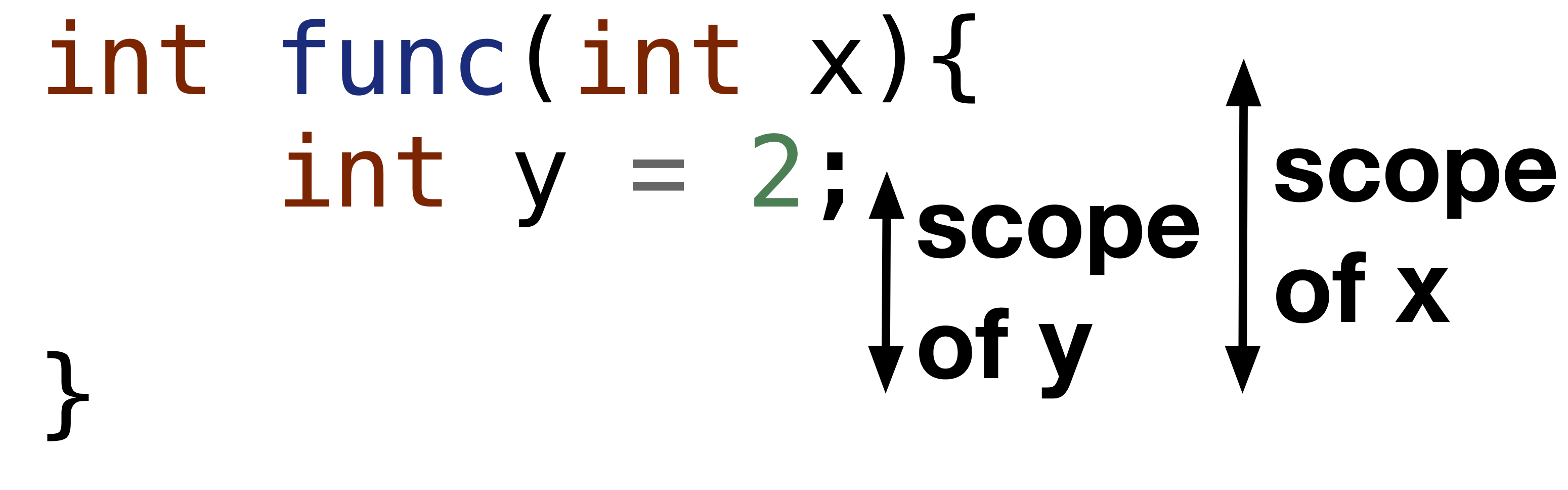 Scope of x and y in function func.